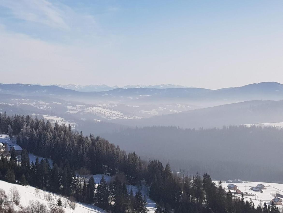 Agroturystyka Koronkowe Zacisze Koniaków Kültér fotó