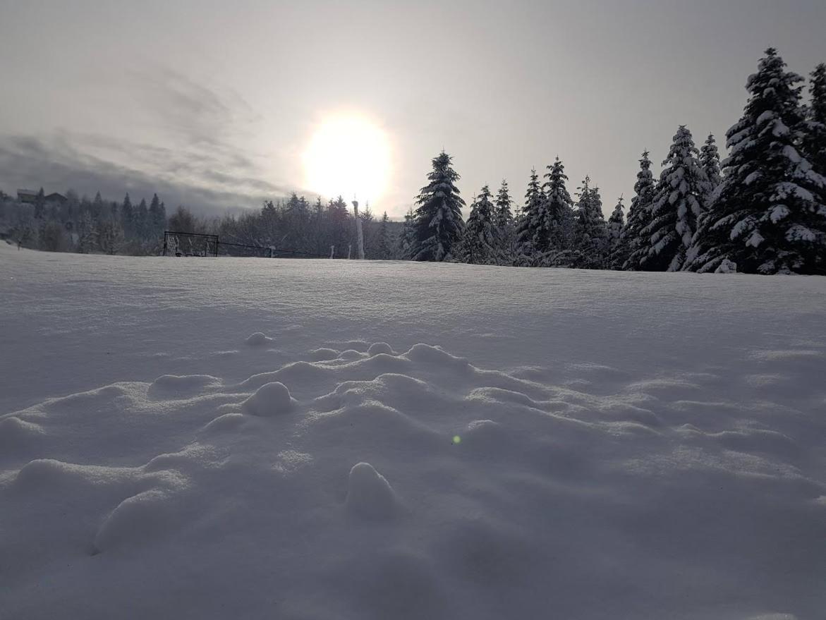 Agroturystyka Koronkowe Zacisze Koniaków Kültér fotó