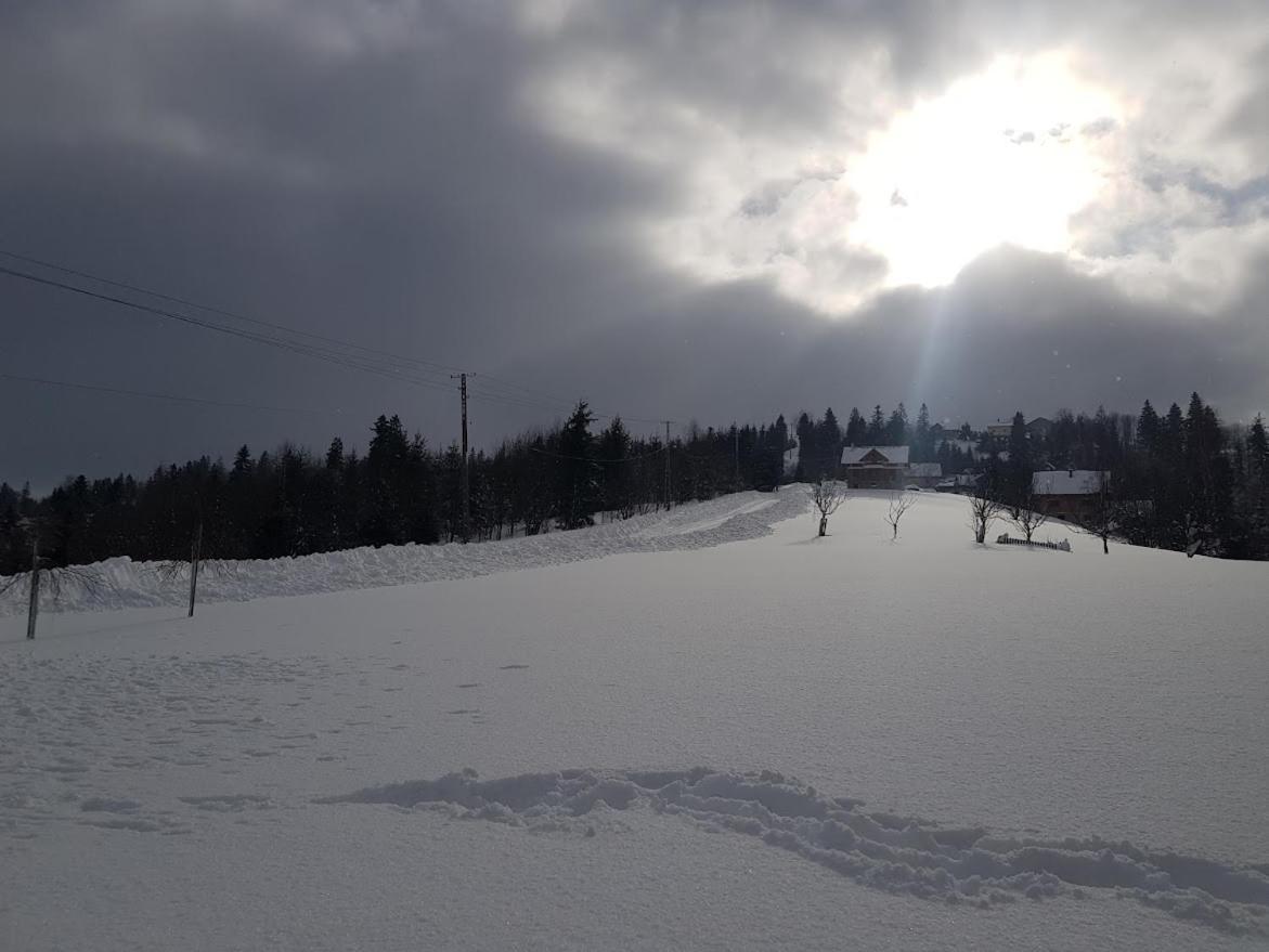 Agroturystyka Koronkowe Zacisze Koniaków Kültér fotó